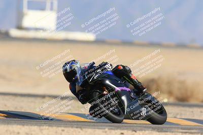 media/Jan-14-2024-SoCal Trackdays (Sun) [[2e55ec21a6]]/Turn 4 Tree of Life (155pm)/